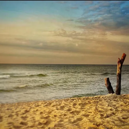 By Belgian Coast With Dune Views 아파트 *