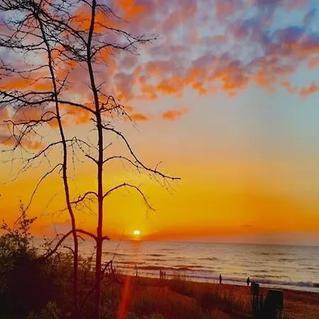 By Belgian Coast With Dune Views *